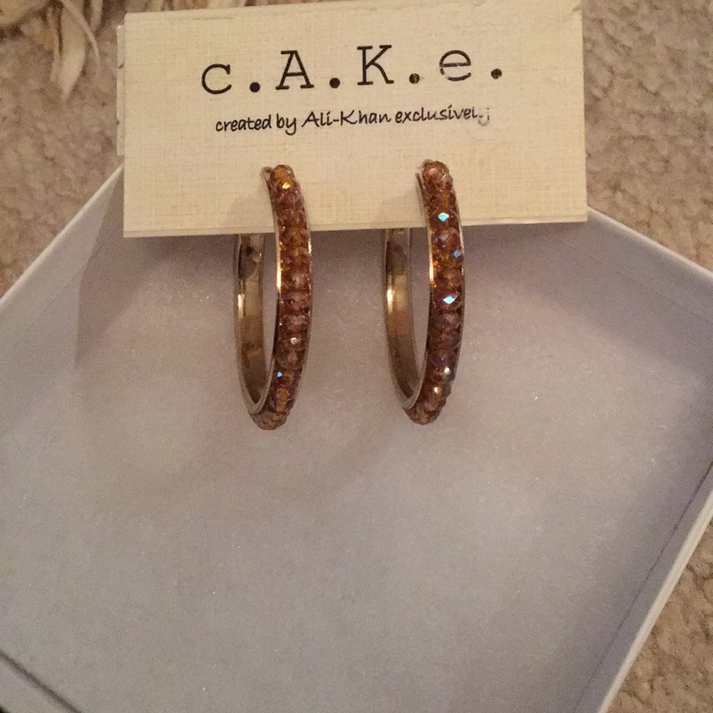 Brown stone hoop earrings